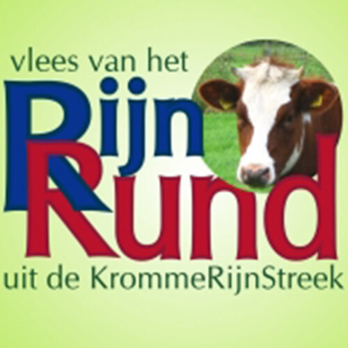 Rijn Rund (Koe)